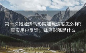 第一次接触蜂鸟影院加载速度怎么样？真实用户反馈，蜂鸟影院是什么