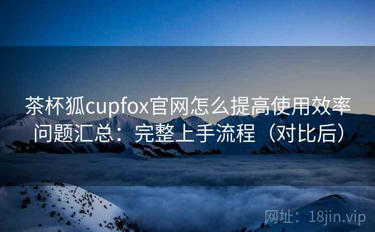 茶杯狐cupfox官网怎么提高使用效率问题汇总：完整上手流程（对比后）