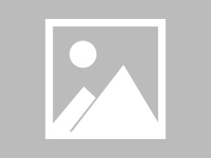 白虎网站值不值得用：实用技巧合集，白虎网络上什么意思