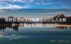 茶杯狐官网在线观看适合什么人全解析：完整上手流程（对比后）