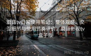 蘑菇tv日常使用笔记：整体观感、交互细节与使用节奏评价，蘑菇影视tv盒子版