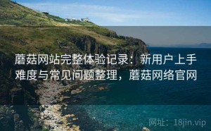 蘑菇网站完整体验记录：新用户上手难度与常见问题整理，蘑菇网络官网