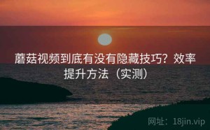 蘑菇视频到底有没有隐藏技巧？效率提升方法（实测）