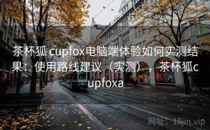 茶杯狐 cupfox电脑端体验如何实测结果：使用路线建议（实测），茶杯狐cupfoxa