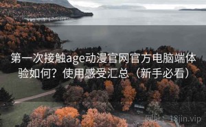 第一次接触age动漫官网官方电脑端体验如何？使用感受汇总（新手必看）