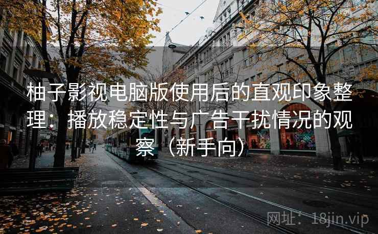 柚子影视电脑版使用后的直观印象整理：播放稳定性与广告干扰情况的观察（新手向）