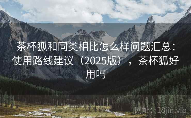 茶杯狐和同类相比怎么样问题汇总：使用路线建议（2025版），茶杯狐好用吗