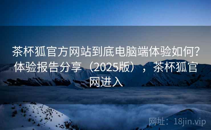 茶杯狐官方网站到底电脑端体验如何？体验报告分享（2025版），茶杯狐官网进入