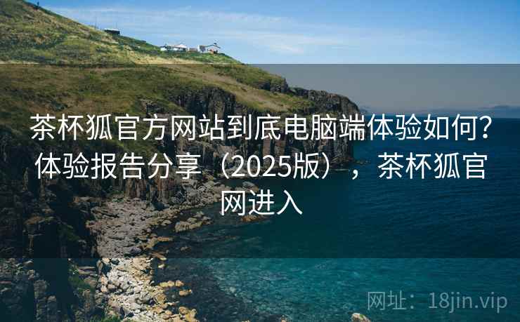 茶杯狐官方网站到底电脑端体验如何？体验报告分享（2025版），茶杯狐官网进入